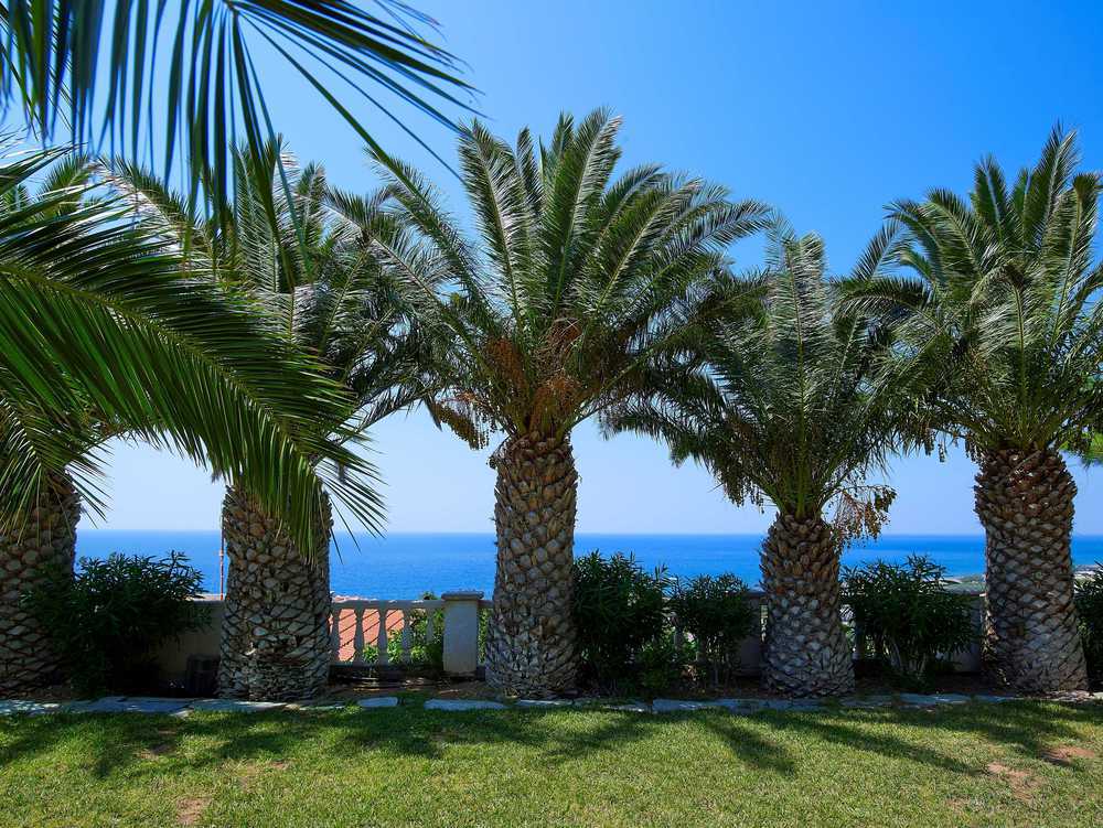 Hotel Aroma Creta Koutsounari Interior foto